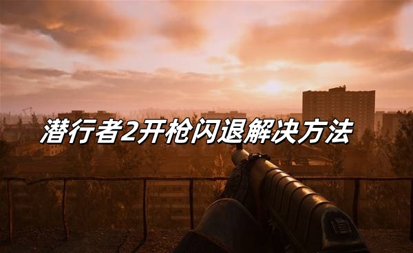 潜行者2游戏中开枪就闪退怎么办？