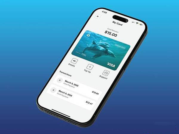 案例研究:Aqua Wallet 的 Dolphin 卡