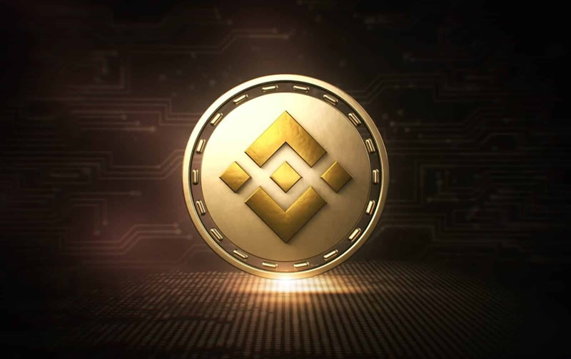 BNB(币安币)是什么?BNB历史最高价与历年价格全解析