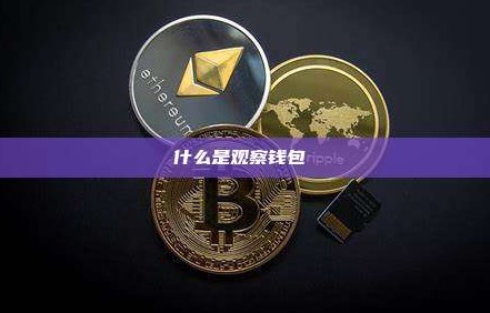 观察钱包（Watch-only）是什么？新手完整指南