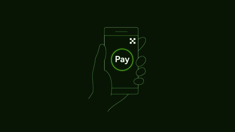 什么是 Pay ?