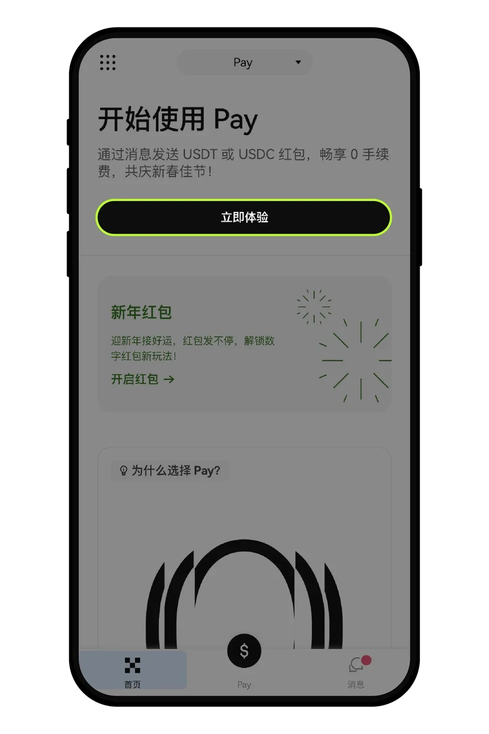 步骤 1:切换至 Pay 首页_图3
