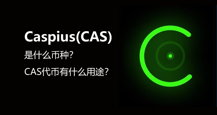 Caspius(CAS)什么样的货币？CAS代币有什么用？