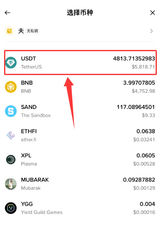 币安Web3钱包入金教学_图3