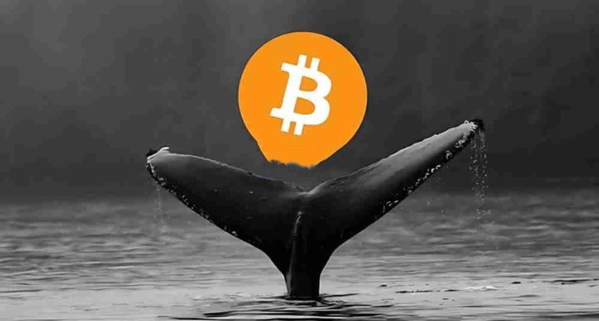 中本聪的比特币值多少钱?值多少人民币呢?